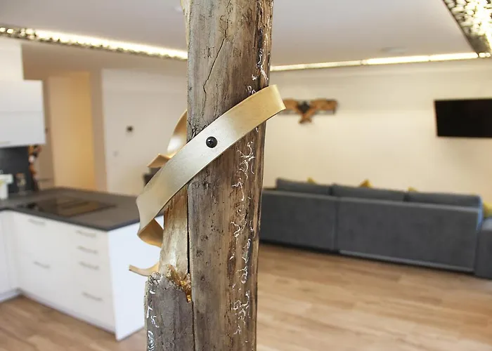 Appartamento Laurentia Penthouse